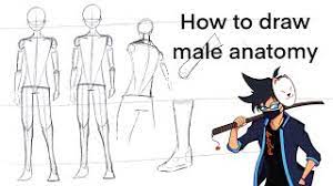 Drawing anatomy for beginners, learning the ins and outs. Tutorial How To Draw Bodies For Anime Male Anatomy Youtube
