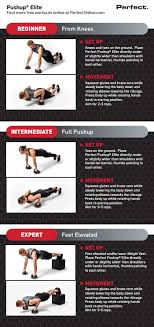 Rational The Perfect Pushup Workout Chart 2019
