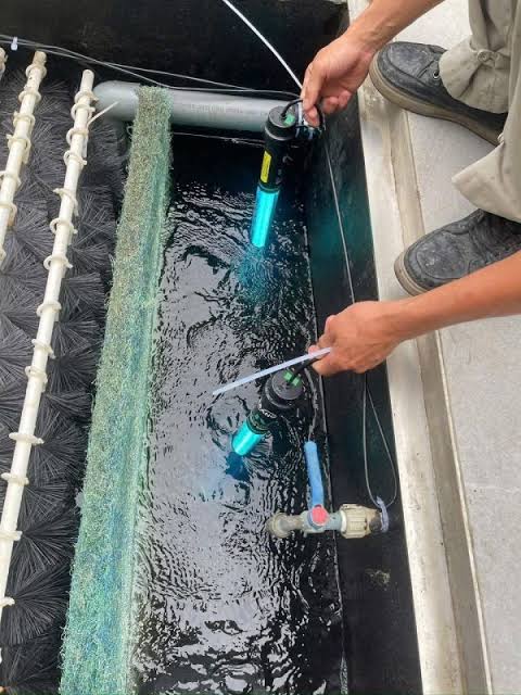 Cách lựa chọn đèn uv diệt Khuẩn diệt Rêu-Tảo cho hồ cá koi - Thiết Bị Hồ Cá Koi
