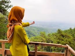Ccp studio 591 views2 months ago. Foto Lokasi Dan Harga Tiket Masuk Wana Wisata Polowono Batang