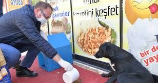 Baskan Gumrukcu Once Vatandaslara Ekmek Sonra Hayvanlara Mama Dagitti Ege Telgraf