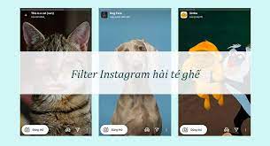 Anh thu doan nguyen is a member of vimeo, the home for high quality videos and the people who love them. 13 Filter Instagram Hai HÆ°á»›c Khiáº¿n Báº¡n CÆ°á»i Sáº£ng Quanh NÄƒm