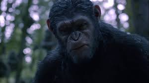 'Kingdom Of The Planet Of The Apes' Earns $22 Million Opening Day