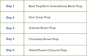 is it normal for breastfed babies to have green coloured poop