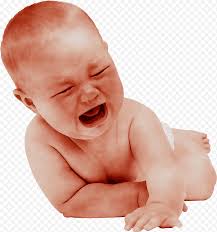 Gravidanza, Feto, Neonato, Embrione, Parto, Assistenza prenatale,  Ostetricia, Test di gravidanza png