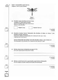 Surat khabar dalam bahasa inggeris: Penerangan Format Baru Upsr Didik