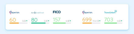 Fico Sbss The Small Business Credit Score Nav