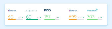 fico sbss the small business credit score nav