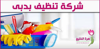 شركة تنظيف بدبى 0556961202 زهرة الخليج Companies In Dubai Cleaning Toothbrush Holder