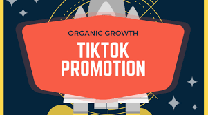 Selflancer I Will Do Tik Tok Promotion Grow Tiktok Viral Tiktok Video Promotion