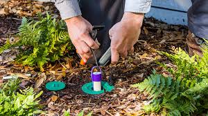 Champion termite and pest control, inc. Termites Terminix Service Inc 1 In Pest Control Termite Treatment Trustterminix Com