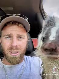 Badger Stands Up in Video