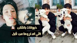 مميزات موقع freebitco يمكنك جمع البتكوين كل ساعة طوال اليوم يمكنك ربح 50% من الأشخاص الذين تجلبهم للموقع Ù„Ù†ØªØ¹Ø±Ù Ø¹Ù„Ù‰ Ø­ÙŠÙˆØ§Ù†Ø§Øª Ø¨Ø§Ù†Ù‚ØªØ§Ù† Ø§Ù„Ø£Ù„ÙŠÙØ© Youtube