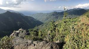 Driving directions to gatlinburg, tn including road conditions, live traffic updates, and reviews of local businesses along the way. Southeast Road Trip Asheville Great Smoky Mountains National Park Nashville More 9 Days Kimkim
