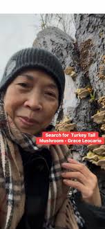 Was finally able to grow a block full of turkey tail. I think this block  was made