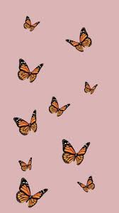 You can make this wallpaper for your android backgrounds, tablet, smartphones screensavers and mobile phone lock screen. Butterfly Wallpaper Iphone 11