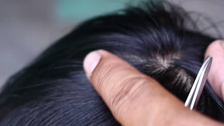 Image result for Plucking Gray Hair \