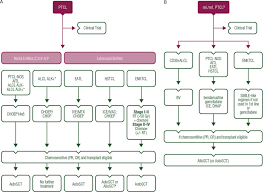 The following list of t cell lymphoma symptoms makes no distinction between these. Peripheral T Cell Lymphomas Esmo Clinical Practice Guidelines For Diagnosis Treatment And Follow Up Annals Of Oncology