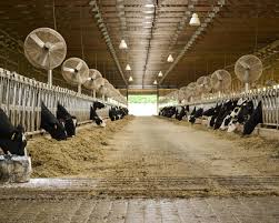 2,493 likes · 15 talking about this · 2 were here. Dairy Farm Sizes My Fearless Kitchen