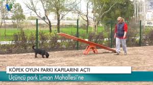 Kopek Oyun Parki Kapilarini Acti Youtube