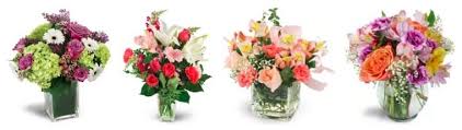 Trust your local plano tx florist to find the perfect floral gift. The 8 Best Options For Flower Delivery In Plano Texas 2021