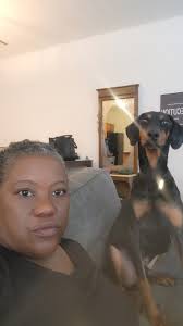 My grandma in law lost her dog she lives in haysville if you have seen him  please send me a message his name is snoopy