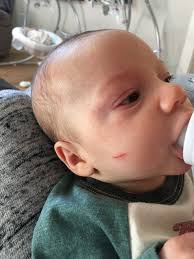 Dane Cheek's Instagram, Twitter & Facebook