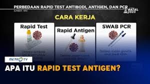 Apa Itu Rapid Test Antigen Youtube