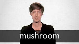 This lesson provides a list of synonyms for increase with example sentences and esl pictures. Mushroom Synonyms Collins English Thesaurus