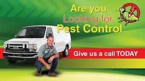 Once bugs and other pests find a safe place where they can live and breed, chances are. Pest Control Ottawa Pest Patrol Ottawa Ontario Canada
