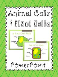 We did not find results for: Animal Cells Plant Cells Powerpoint Presentation Compares And Describes The Function Of The Major Parts Of 5th Grade Science Teaching Science Science Cells