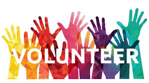 Fill Out the Volunteer Application!
