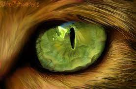 Realism Painting Cat 39 S Eye By Felisnix On Deviantart Realism Painting Eye Drawing Cat Painting