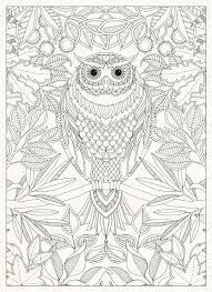 secret garden 20 postcards johanna basford 9781856699464 amazon com books owl coloring pages coloring books coloring pages for grown ups