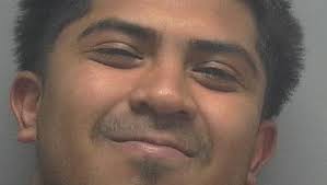 Lee County Arrests 4/25