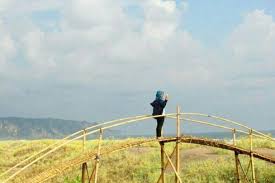 Di pantai ini kamu akan disuguhi pemandangan batu dibandingkan dengan pantai di jogja lainnya, pantai glagah terbilang unik karena memiliki permukaan tanah yang cukup datar dan landai. Lokasi Dan Rute Menuju Pantai Cemara Sewu Bantul Jogja Objek Wisata Baru Yang Masih Belum Terjamah Daka Tour