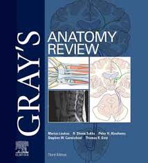 Gray's atlas of anatomy 3rd edition 2021 pdf. Elsevier Ebooks For Medical Education Interactive Books For Ipad Iphone And The Web