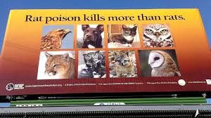 Image result for ratpoison