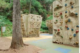 Treetop adventures are unparalleled outdoor experiences. Blog Archives