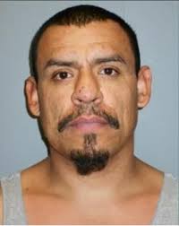 16 arrested in multi-agency sweep