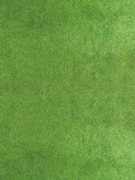 صور ملعب كرة قدم Green Grass Background Grass Background Green Background Video