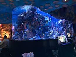 Maybe you would like to learn more about one of these? When Acrylic Aquariums Fail Plasticstoday Com