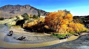 阿克塞多坝沟胡杨峡景区游玩攻略-多坝沟胡杨峡 景区门票多少钱/价格表-团购票价预定优惠-景点地址在哪里/图片介绍/参观预约/旅游游览顺序攻略及注意事项/营业时间-【携程攻略】