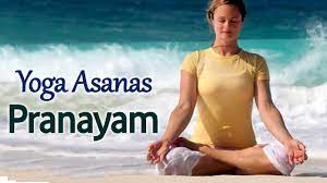 We did not find results for: Pranayam Yoga Asanas The Various Yog Mudra Youtube