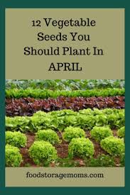 Mar 11, 2021 · carrots are among the easiest veggies to grow. Plant In April Backyard Vegetable Gardens Home Vegetable Garden Plants