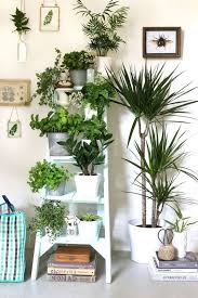Indoor Plants Indoor Plants Decoration House Plants Mini Gardens Low Light Plants Ideas Indoor Plant Shelves Vertical Garden Indoor Tall Plant Stand Indoor