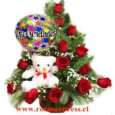 Arreglo de rosas feliz cumpleaños. Arreglo Floral De 12 Rosas Globo Peluche Rosasexpress