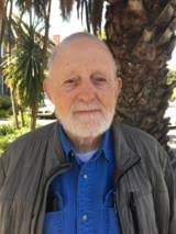 Why Are There So Many Palm Trees in the Bay Area?