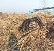 Sugarcane Grabber Tractor loader - YouTube
