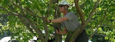 There are two basic types: Moore S Lawn Landscape Posts Facebook